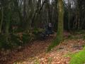 Stphane Houart - VTT et BMX Bretagne - creation site itnernet