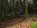 Stphane Houart - VTT et BMX Bretagne - creation site itnernet