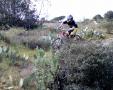 Thomas Lemari - VTT et BMX Bretagne - creation site itnernet