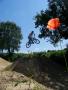 Jonathane Lebon - VTT et BMX Bretagne - creation site itnernet