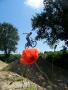 Jonathane Lebon - VTT et BMX Bretagne - creation site itnernet