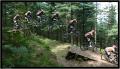 Stephen Grassagliata - VTT et BMX Bretagne - creation site itnernet