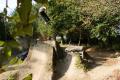 Malo Ollivier - VTT et BMX Bretagne - creation site itnernet