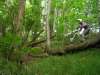 Pierre Dmzet - VTT et BMX Bretagne - creation site itnernet