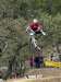 Anthony Rocci - VTT et BMX Bretagne - creation site itnernet