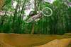 Benoit Stoclet - VTT et BMX Bretagne - creation site itnernet